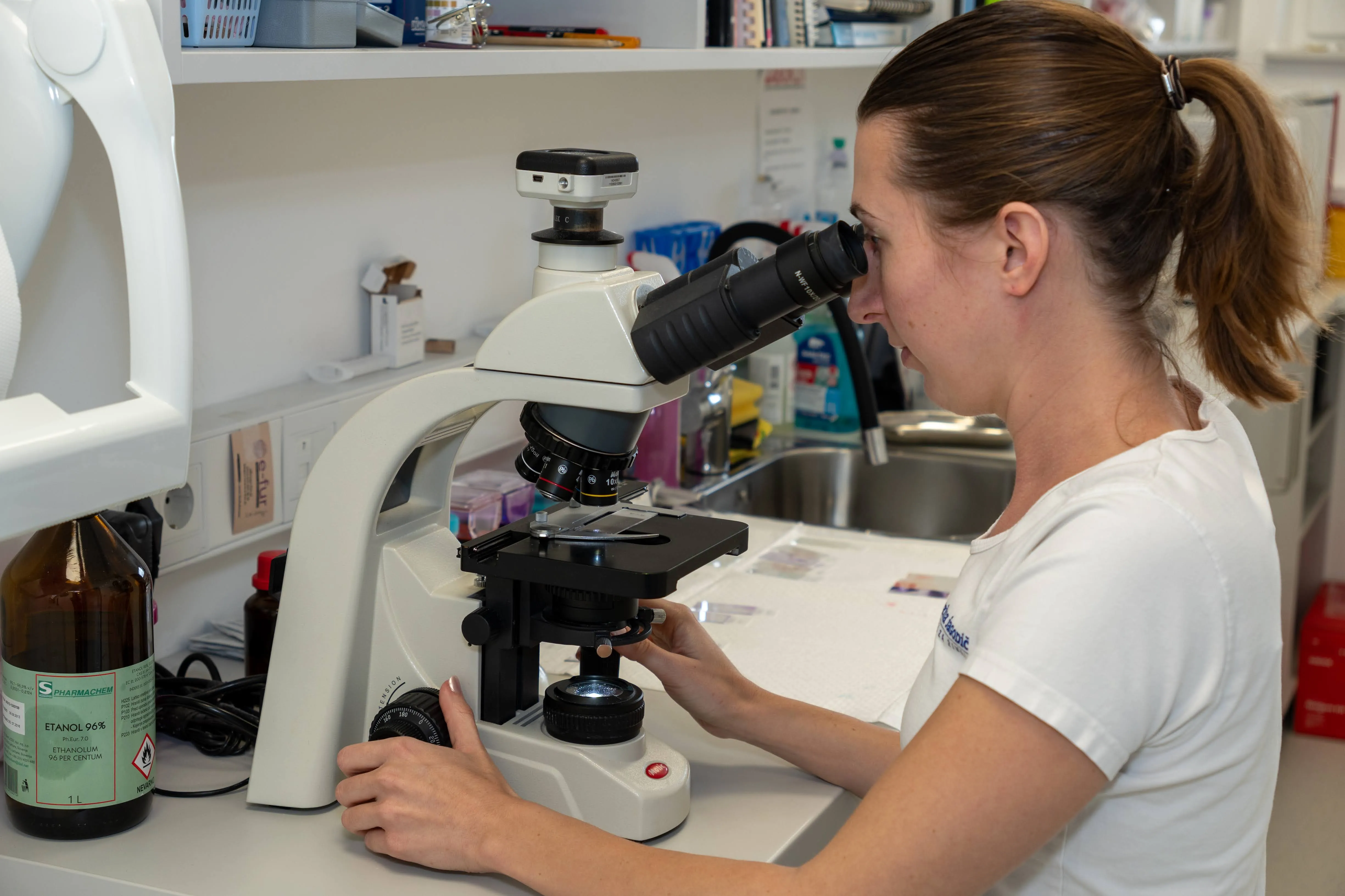 lab