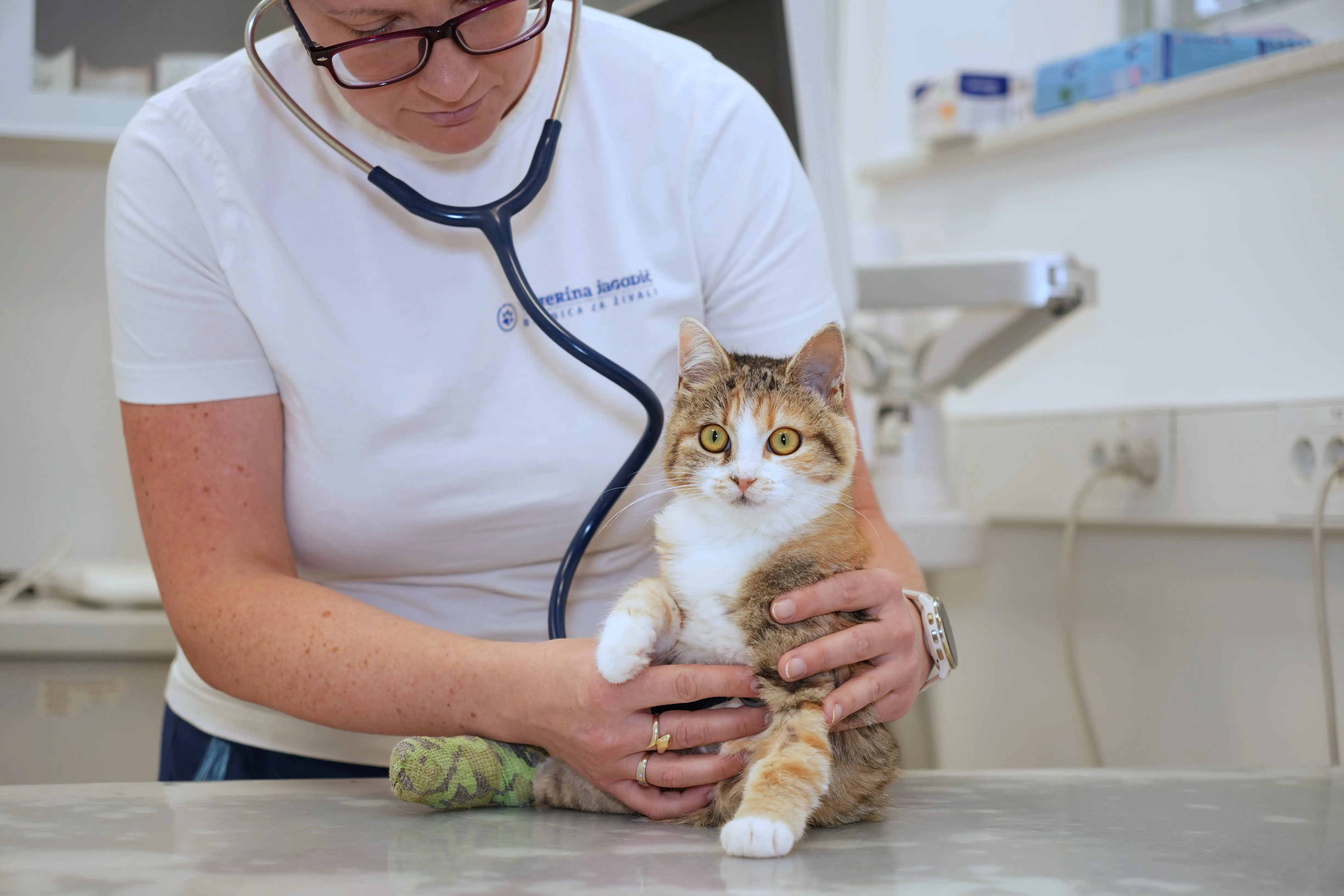 Preventivna veterinarska medicina